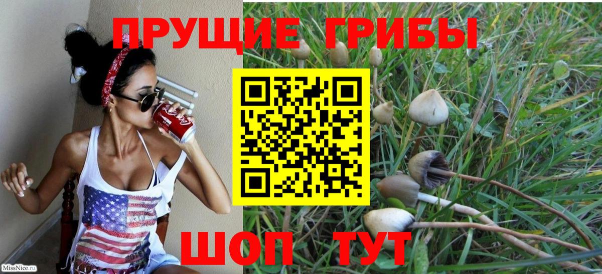 Печора  Псилоцибиновые грибы Psilocybe  Вход с VPN 