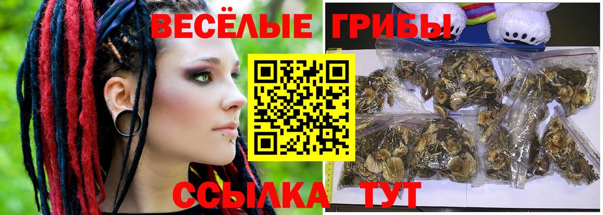Псилоцибиновые грибы Magic Shrooms Печора